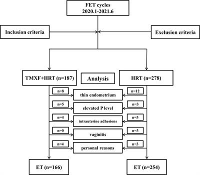 Hormone replacement therapy alone or in combination with tamoxifen in women with thin endometrium undergoing frozen-thawed embryo transfer: A retrospective study